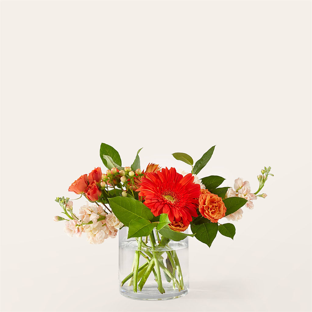 Paloma Please Bouquet – Linda Floral, Burlington NC