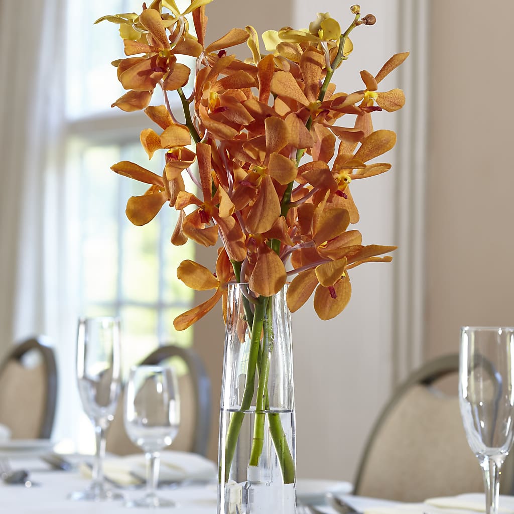 Orange Mokara Bud Vase – Linda Floral, Burlington NC