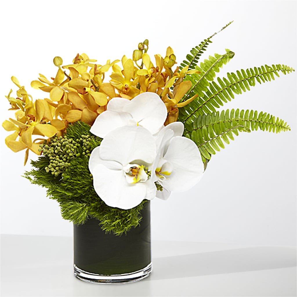 The Tropics –  Linda Floral, Burlington NC