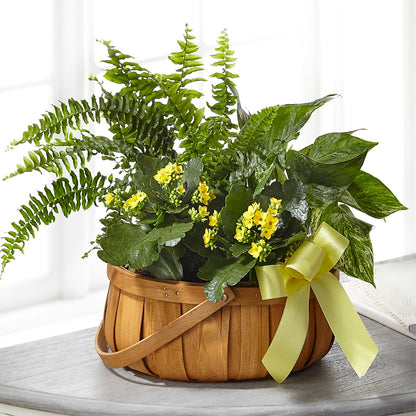 Always Dear Dishgarden –  Linda Floral, Burlington NC