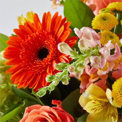 Autumn Sunshine Bouquet –  Linda Floral, Burlington NC
