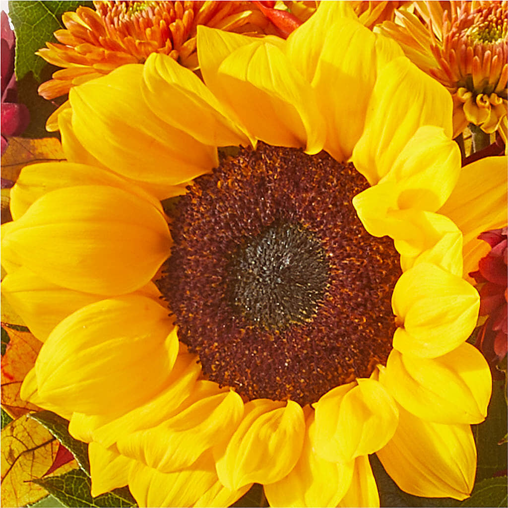 Sunny Side Bouquet –  Linda Floral, Burlington NC