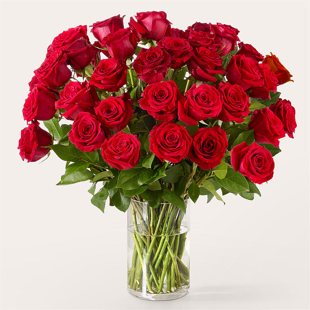 The One Red Rose Bouquet –  Linda Floral, Burlington NC